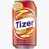2007 Tizer