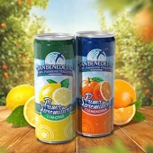 2018 Sanbenedetto